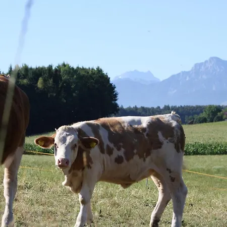 Wagnerhof *